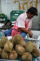 IDP durian merged project thumbnail