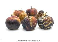 fruit-detect-disease project thumbnail