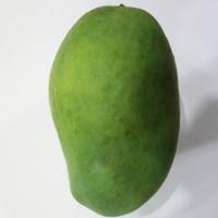 fruit-vegetable-disease project thumbnail