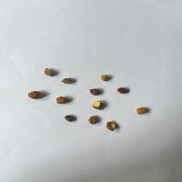 Gram Quality analysis project thumbnail