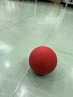 boccia-red-ball project thumbnail