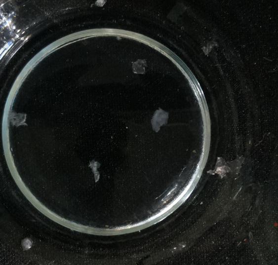 My First Project Object Detection Model by Microplastic detection