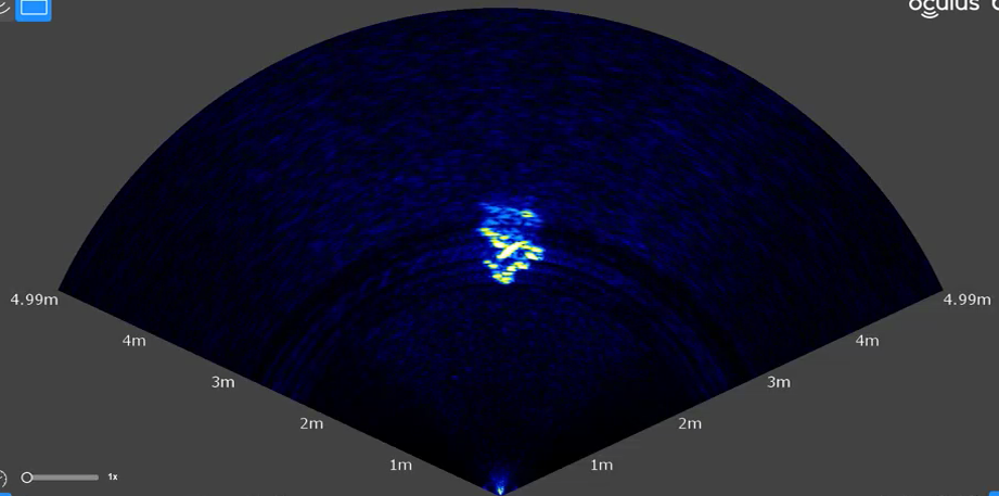 fish Object Detection Model by The transformed image