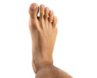 bodyparts project thumbnail