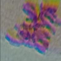 mitosis_synthetic project thumbnail