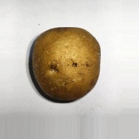 Rotten and Healthy Potatoes Instance Segmentation Model by