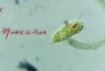 pond_detection project thumbnail