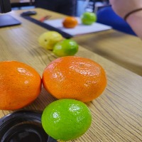 Dataset Image