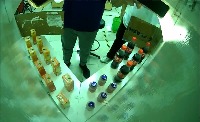 Dataset Image
