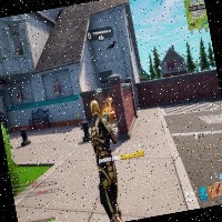 Dataset Image