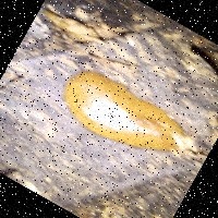 Dataset Image