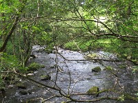 Water_detection project thumbnail