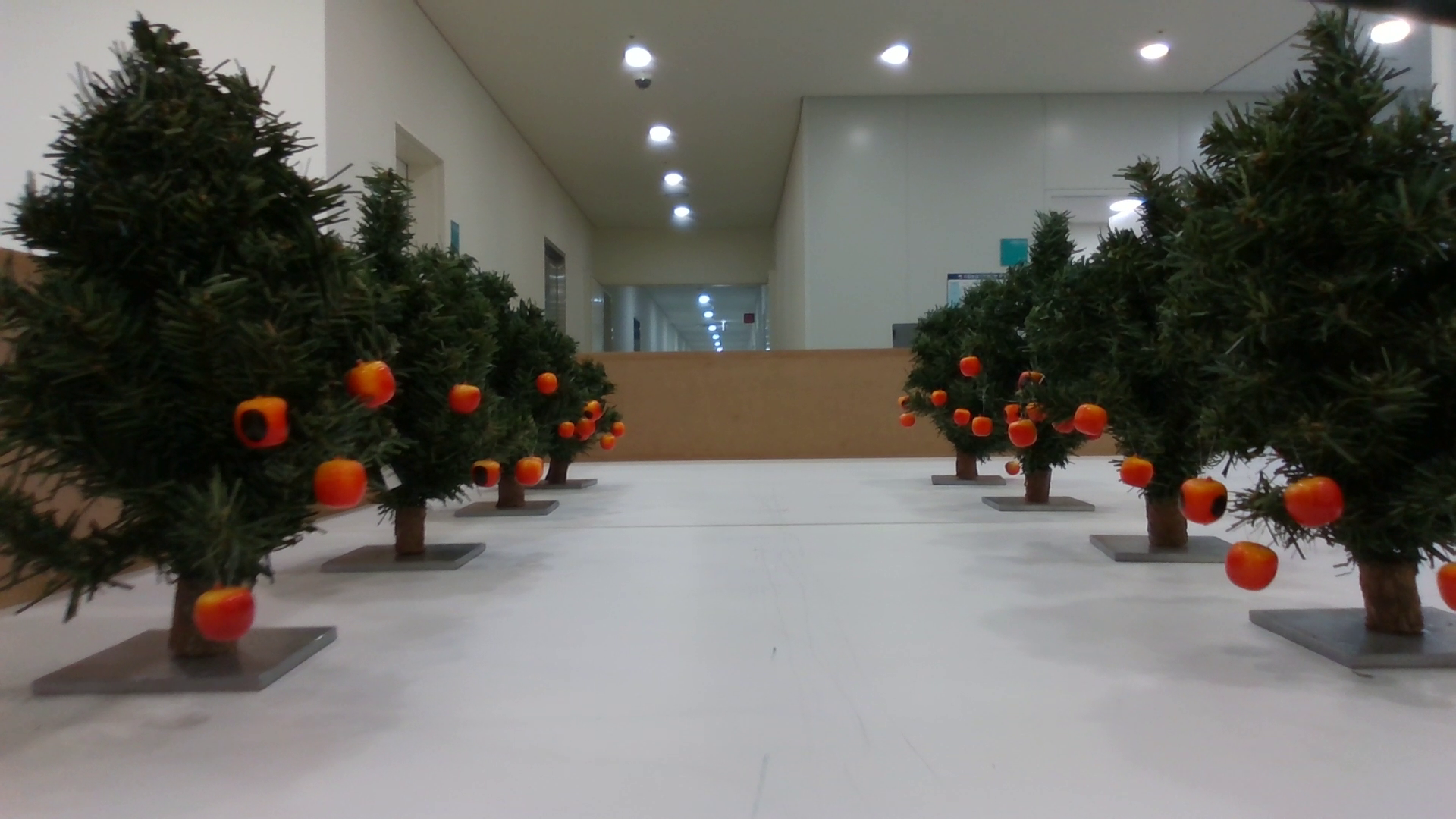 tree Object Detection Dataset by Chungnam national university