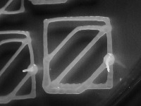 bioprintingerrors project thumbnail