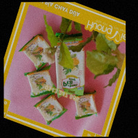 Dataset Image
