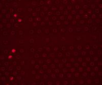Test_Bump project thumbnail