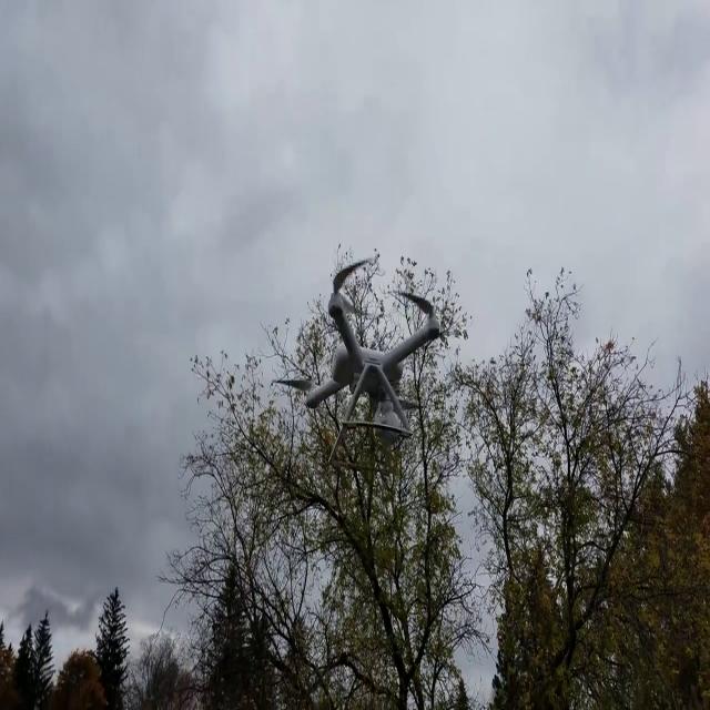 Drone Object Detection Model by Drone