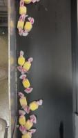 Custom Workflow Object Detection project thumbnail