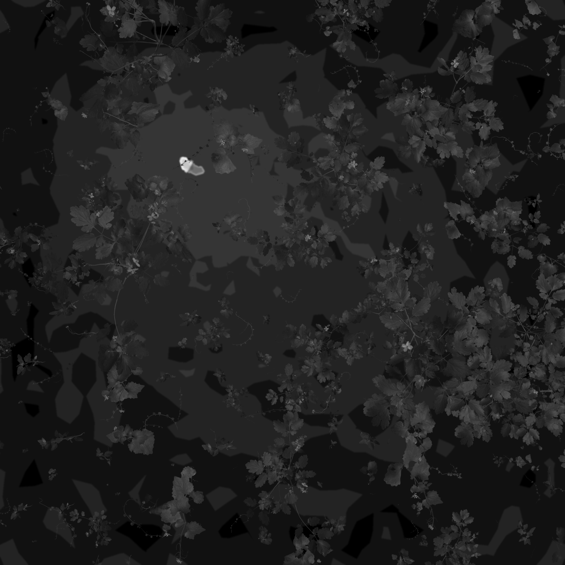 Mineguard thermal object detection dataset v11 raw by dronecv