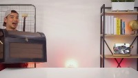 mice model project thumbnail