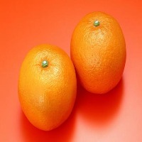 Fruit-detector2 project thumbnail