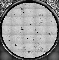 STEM CELL CLASSIFY  project thumbnail