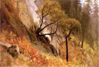  Yosemite project thumbnail
