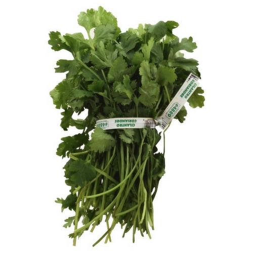 Parsley vs. Cilantro Classification Dataset by CopDetector