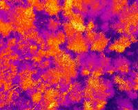 Thermal project thumbnail
