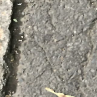 pavement cracks Object Detection Dataset by pavement cracks