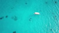 Manta Detector project thumbnail