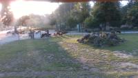 Animals project thumbnail