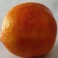 Tomates project thumbnail