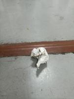 recycle_trash project thumbnail