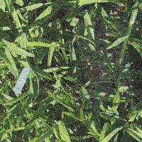 Combined Litter project thumbnail