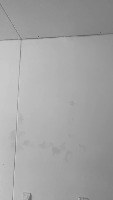 Paint Model project thumbnail