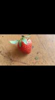 Buah Terakhir project thumbnail