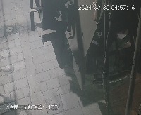 Dataset Image
