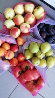fruits project thumbnail