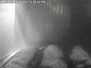 test1 Object Detection Dataset by MLRiverHerring