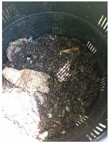 compost ia 2 project thumbnail