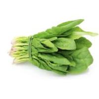 spinach project thumbnail