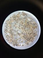 seeds project thumbnail