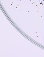 Seeds_2 project thumbnail