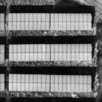 photo project thumbnail