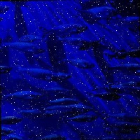 Marine Life project thumbnail