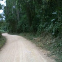 ROAD Instance Segmentation Model by HYUNDAI EXCEL