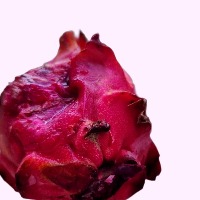 Dragon Fruit project thumbnail