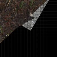 pseudo_ortho_a58_segment2_p2 project thumbnail