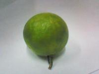 Citrus_Grading project thumbnail